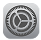 iPhone Settings Icon